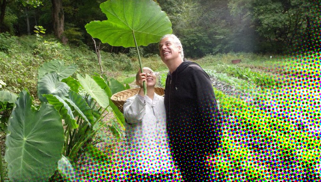 Jeong Kwan in haar paradijs buiten de matrix