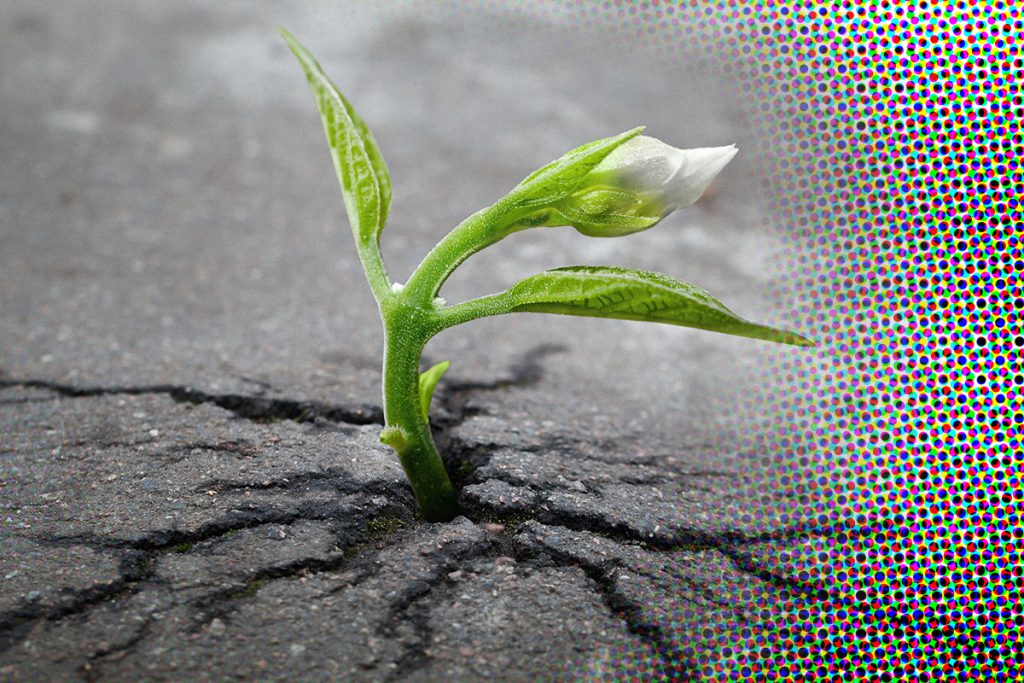 Tussen hoop en Hopium