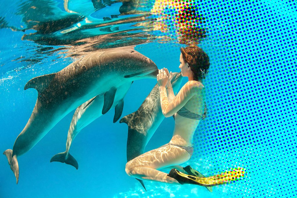 Zijn dolfijnen eigenlijk oceanische lichtwezens? zwemmen met dolfijnen