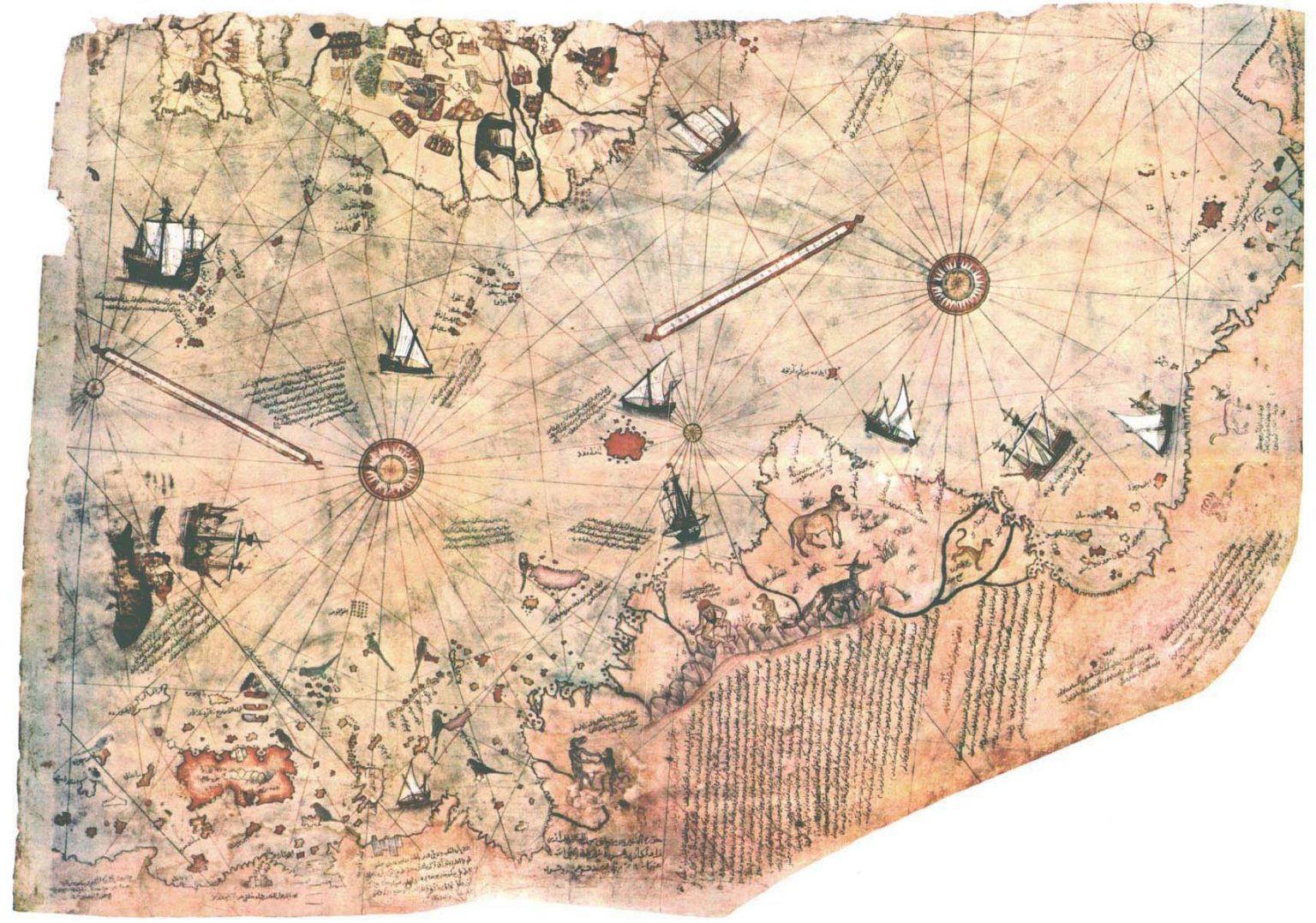 Huh, was Antarctica een continent zonder ijs?