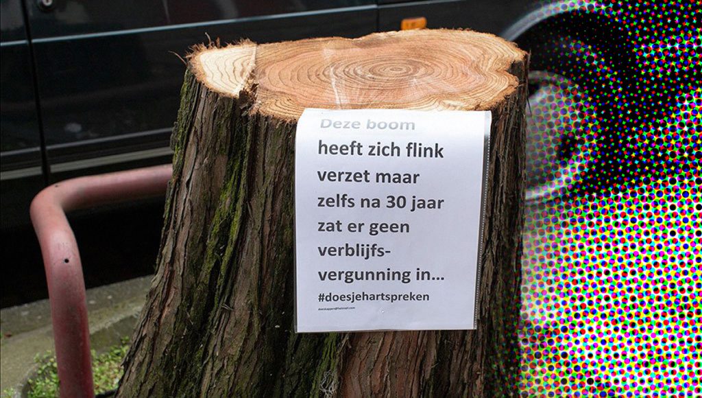 Wat is de verborgen agenda achter de massale bomenkap?