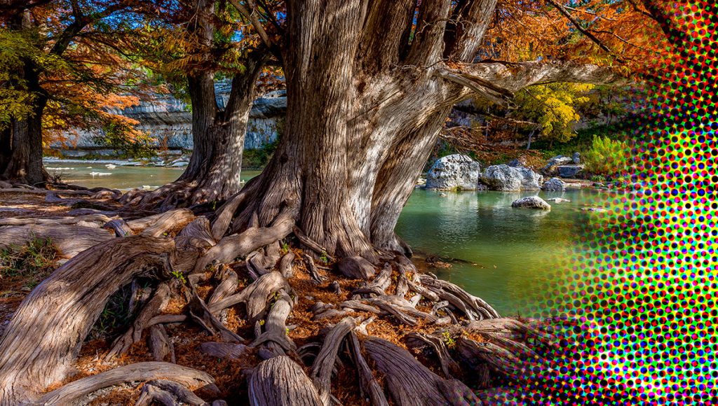 In verbinding en op eigen kracht