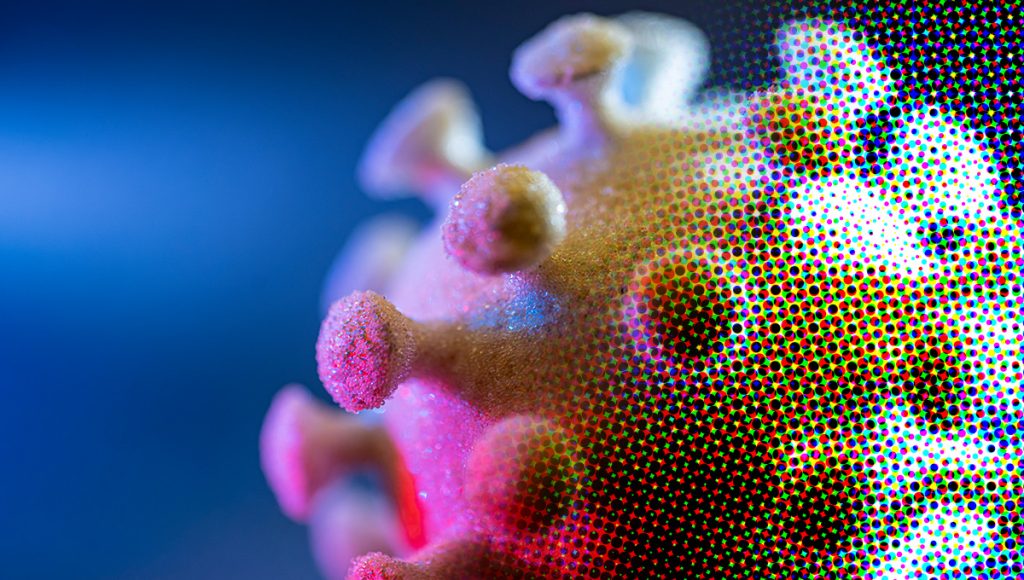 Is onze angst voor virussen terecht?