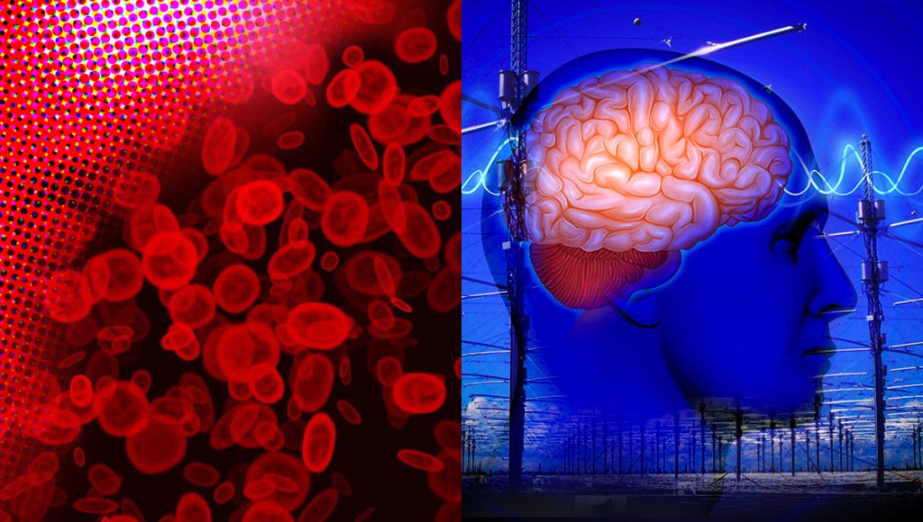 bloed-hersengolven-HAARP