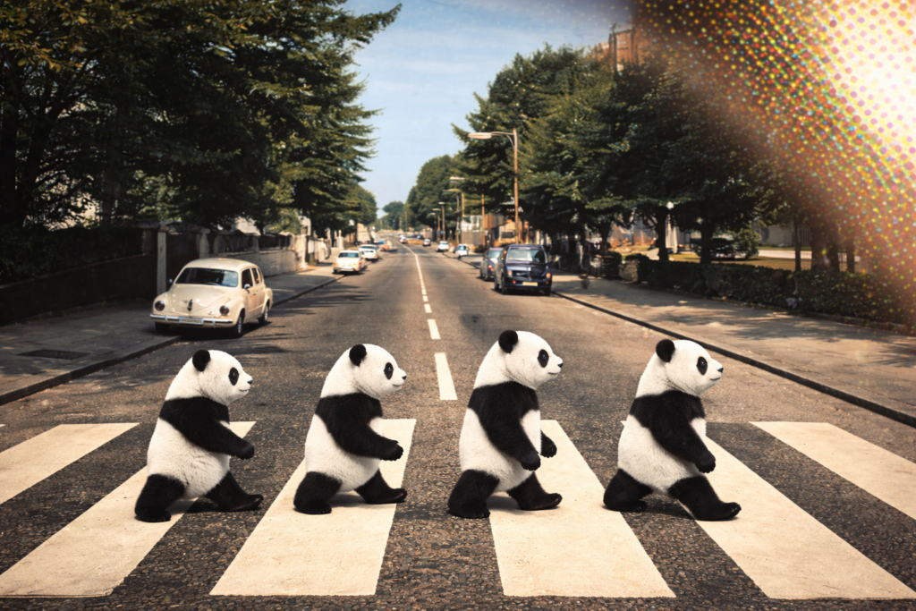 De reuzenpanda: evolutie of experiment?